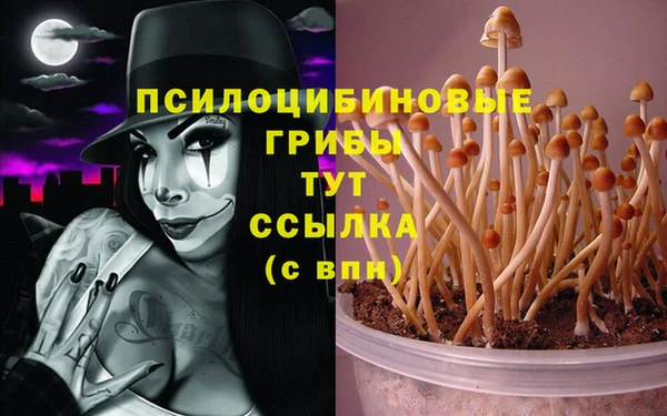 jwh Магадан