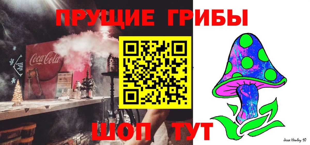 Галлюциногенные грибы Psilocybine cubensis  Псилоцибиновые грибы прущие грибы  Каспийск  Вход с VPN 